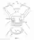 Fig. 03 - Harness with integrated energy absorber