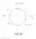Fig. 25 - GOLF BALL