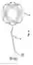 Fig. 07 - Ball with increased flexure