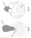 Fig. 10 - Ball with increased flexure