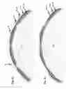 Fig. 11 - Ball with domed panels