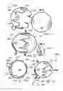Fig. 02 - GOLF BALL HOLDER AND METHOD THEREOF