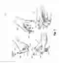 Fig. 04 - Haptic surround functionality