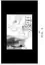 Fig. 09 - Information processing apparatus, image generating method, and program