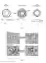 Fig. 02 - Microcapsules modified with nanomaterial for controlled release of active agent and process for preparation thereof