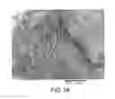Fig. 28 - Processing biomass and petroleum containing materials