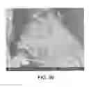 Fig. 40 - Processing biomass and petroleum containing materials