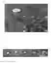 Fig. 02 - Microporous hydrogels