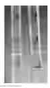 Fig. 01 - Pipette with improved readability and toughness