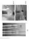 Fig. 02 - Pipette with improved readability and toughness