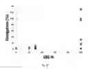 Fig. 07 - Pipette with improved readability and toughness
