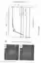 Fig. 06 - Microfluidic device for studying nematodes