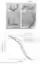 Fig. 09 - Microfluidic device for studying nematodes