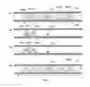 Fig. 02 - Methods and apparatus for the selection and/or processing of particles, in particular for the selective and/or optimised lysis of cells