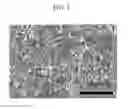 Fig. 04 - MANUFACTURING METHOD OF POROUS THERMAL INSULATION COATING LAYER