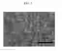 Fig. 06 - MANUFACTURING METHOD OF POROUS THERMAL INSULATION COATING LAYER