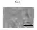 Fig. 07 - MANUFACTURING METHOD OF POROUS THERMAL INSULATION COATING LAYER