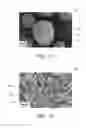 Fig. 03 - Surface-treated ceramic powder and applications thereof