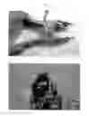 Fig. 03 - Strain Device Tool