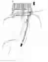 Fig. 01 - Beard trimmer with one or more rotary heads surrounded by combs having a particular shape and provided with a comb protection position