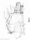 Fig. 06 - Systems and methods for preparing a worksite for additive construction