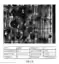 Fig. 06 - Additive manufacturing using foaming radiation-curable resin