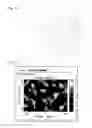 Fig. 08 - Translucent structure
