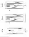 Fig. 09 - Lighting device for vehicle