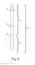 Fig. 07 - Mirror with integral light pipe illumination