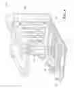 Fig. 05 - Rear door shelf with one touch opening