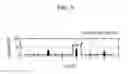 Fig. 10 - Method and apparatus of controlling vibration for hybrid electric vehicle