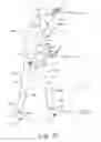 Fig. 07 - Whole body manipulation on a legged robot using dynamic balance