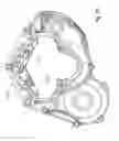 Fig. 137 - Two-wheeled vehicle