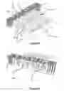 Fig. 07 - Object storage, handling, and retrieving system and method