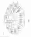 Fig. 02 - Dispensing nozzle assembly