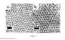 Fig. 09 - Hybrid nanoparticles containing dendrons, methods of producing such hybrid nanoparticles, and uses thereof