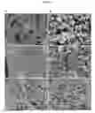 Fig. 08 - METHOD OF PREPARING METAL CHALCOGENIDE NANOMATERIALS