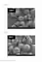 Fig. 07 - Carbon nanotubes having larger diameter and lower bulk density and process for preparing same