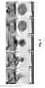 Fig. 09 - Method of forming a self-consolidating concrete construction with self-roughening properties