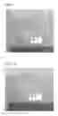 Fig. 02 - Self-desiccating, dimensionally-stable hydraulic cement compositions with enhanced workability