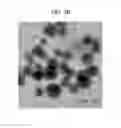 Fig. 04 - Methods of making cerium oxide polyaniline composite nanospheres and methods of use