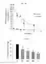 Fig. 08 - Non-selective kinase inhibitors