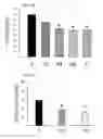 Fig. 09 - Non-selective kinase inhibitors