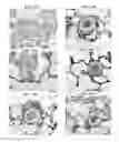 Fig. 16 - Non-selective kinase inhibitors