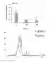 Fig. 20 - Non-selective kinase inhibitors