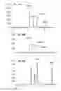 Fig. 22 - Non-selective kinase inhibitors