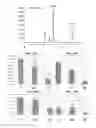 Fig. 23 - Non-selective kinase inhibitors
