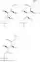 Fig. 06 - Chemical compounds
