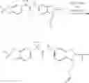Fig. 764 - Modulators of ATP-binding cassette transporters