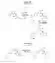 Fig. 13 - Substituted anilines as CCR(4) antagonists